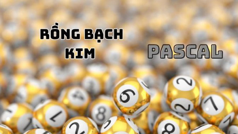 Tìm hiểu tỷ lệ chính xác khi chơi rồng bạch kim